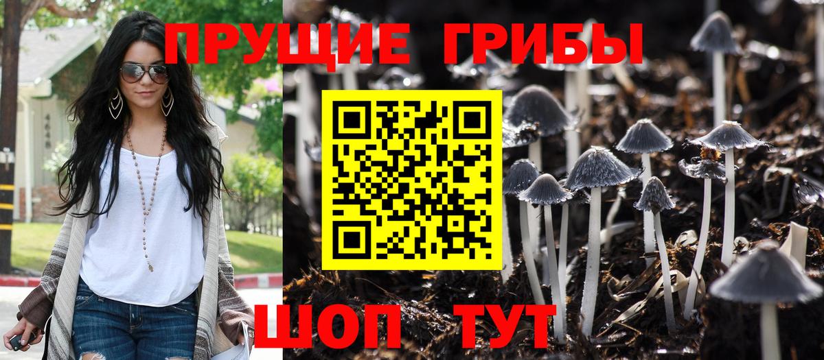 Прокопьевск  Галлюциногенные грибы прущие грибы  Вход с VPN  Псилоцибиновые грибы GOLDEN TEACHER 