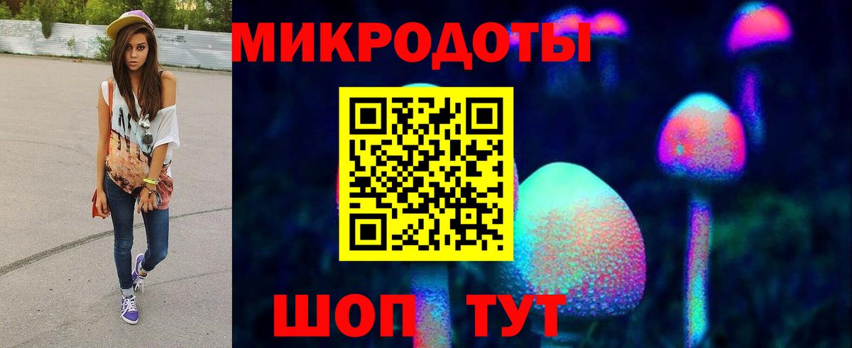 Галлюциногенные грибы Psilocybe Прокопьевск